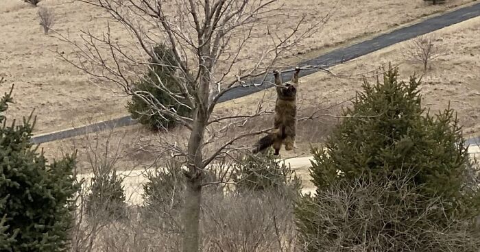 People Are Sharing The Incredible Scenes Captured Through Their Windows