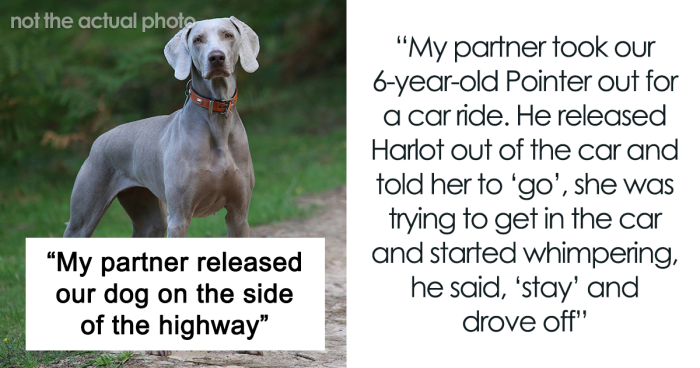 Woman Freaks Out To Learn Partner Dumped Her Dog By A Highway While She Was Out Of State