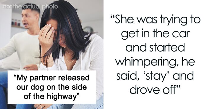 Woman Comes Home After A Funeral, Learns That Her Partner Dumped Their Dog On The Highway