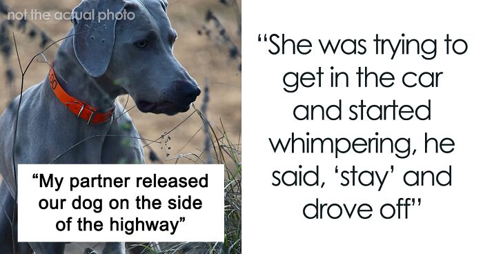 Woman Is Devastated To Find Out Her Partner Abandoned Her Dog On A Highway While She Was Gone