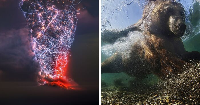 The Beauty Of Nature: Highlights From The Siena International Photo Awards (28 Pics)