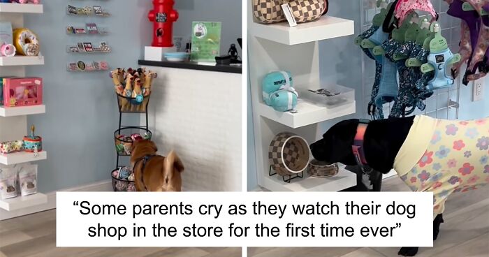 People Cannot Get Over Reactive Dogs Having A Personalized Shopping Day