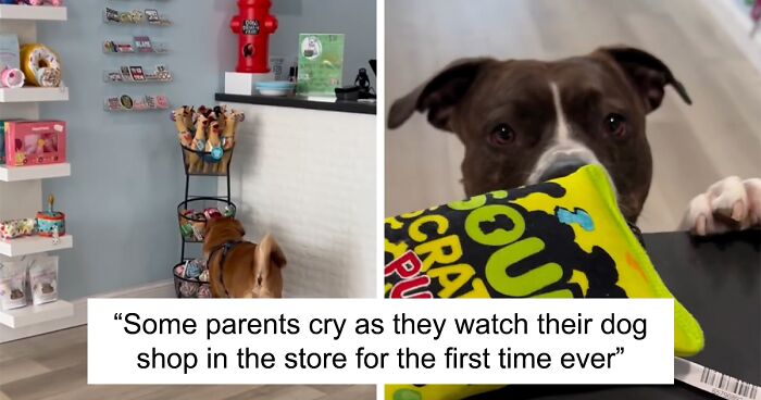 Pet Store Accommodates Misunderstood Reactive Dogs By Giving Them Personal Shopping Days