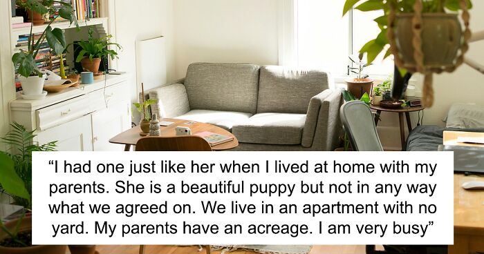 Wife Learns Her Mistake After She Buys Husband A Dog And Is Forced To Rehome It After 2 Weeks