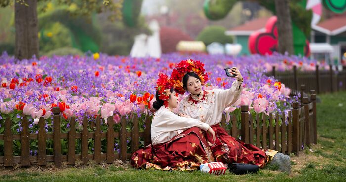 Holland Village: I Flew To China To Photograph Tulips There (34 Pics)