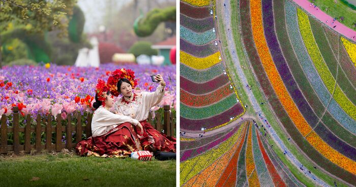 My 34 Photographs Of The Holland Flower Park In China