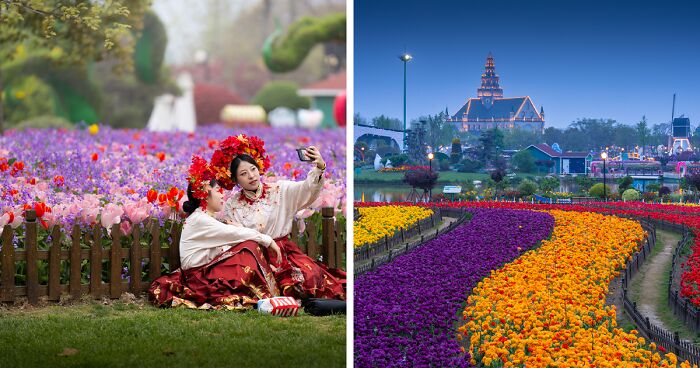 My 34 Photographs Of The Holland Flower Park In China