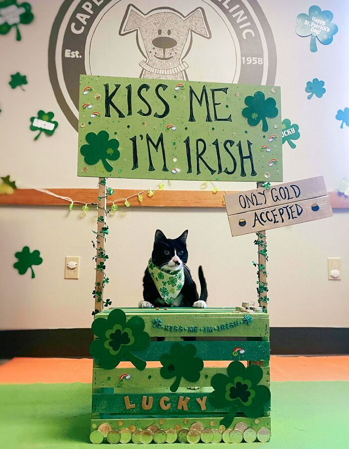 Saint Patty's Photo Booth At Our Clinic