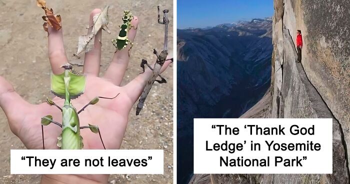 35 Times People Saw The Coolest Things And Just Had To Share On This Online Community