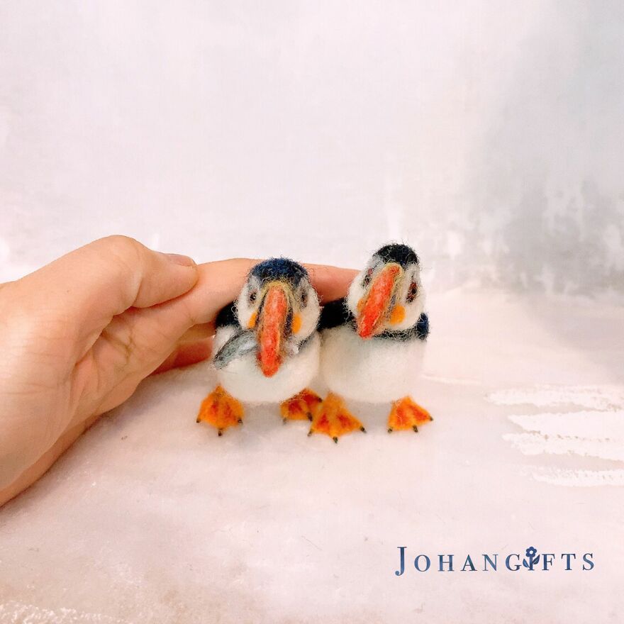 Atlantic Puffin Couples