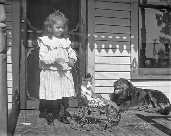 Portrait Of Young Girl With Her Pet Cat In Pram And Doggie, Liking On, Sunbathing. This Photo Was Taken In Cleveland, Ohio, USA Circa Early 1900′s