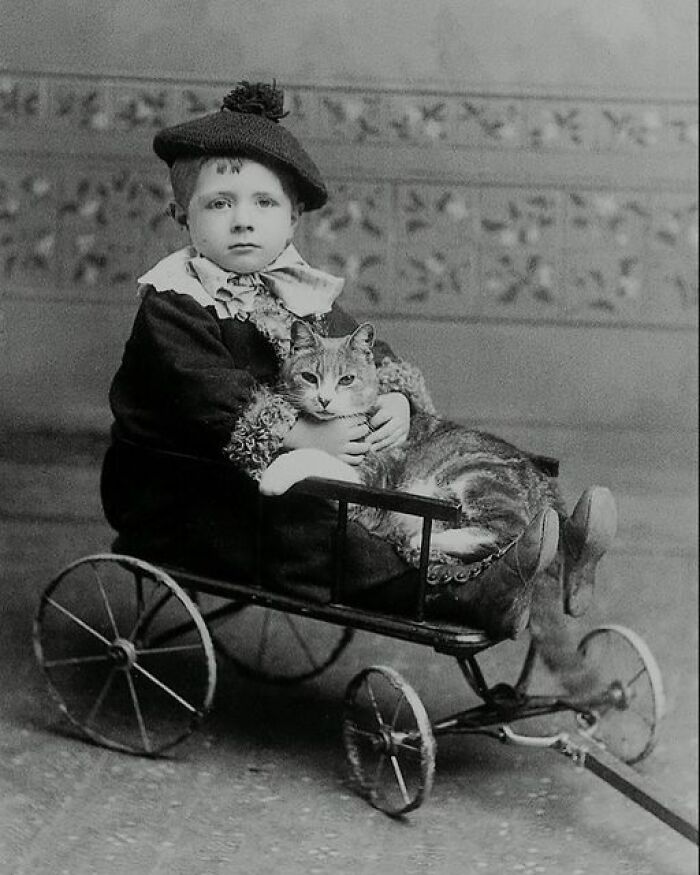 Portrait Of “Child With Cat”, C.1890. By John A. Wheeler, Photographer