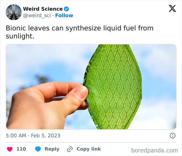 Weird-Science-Tweets