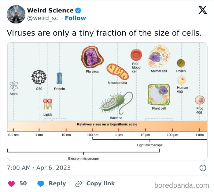 Weird-Science-Tweets