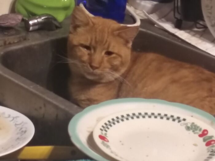 Orange Boy In The Kitchen Sink