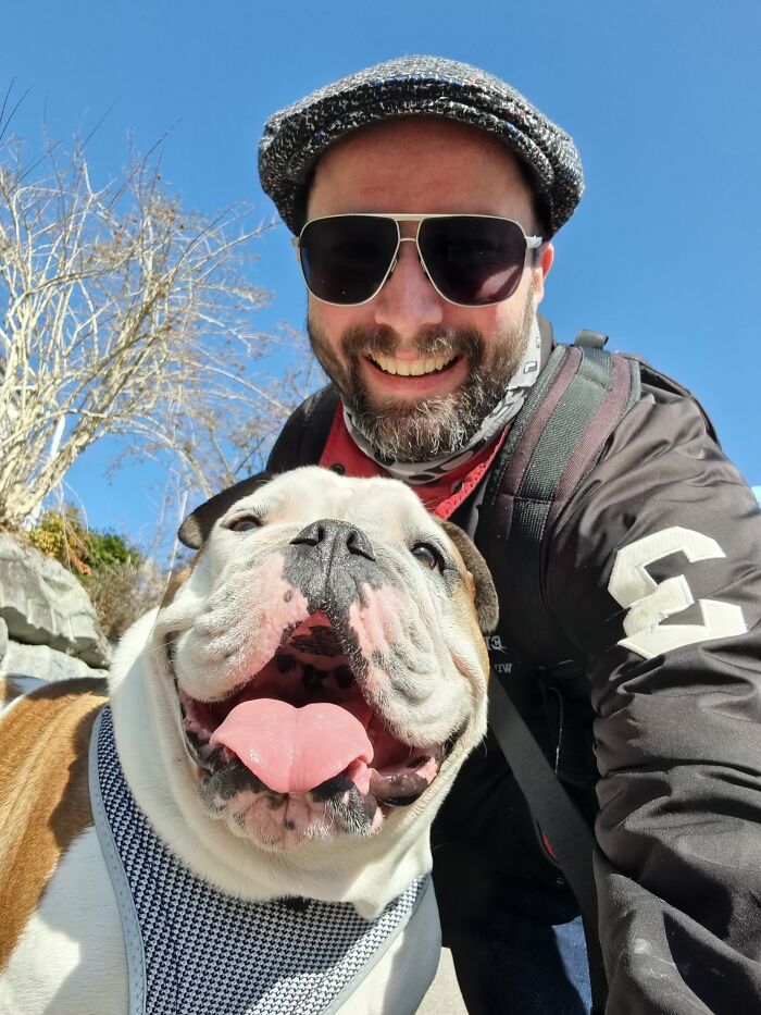 Maybe Not The Funniest - But A Very Happy Moment I Caught Here With Our Bulldog "Sushi"