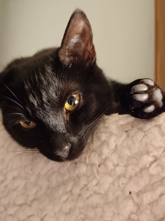 Tango With Her Cute Little Hind Foot Beans