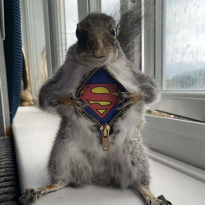 Terrible-Bad-Taxidermy-Fails