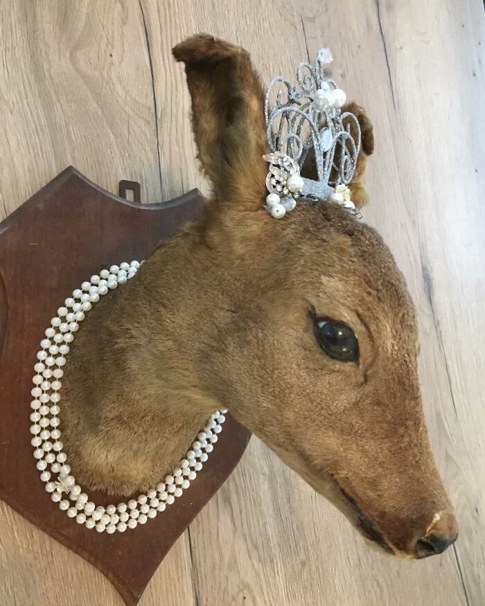 30 Taxidermy Fails From This IG Page That Are So Bad They’re Good ...