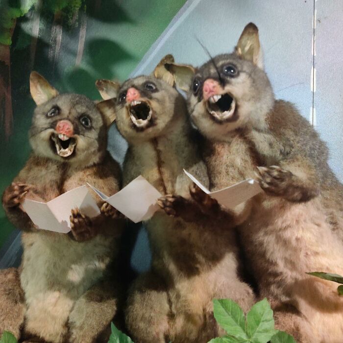 Terrible-Bad-Taxidermy-Fails