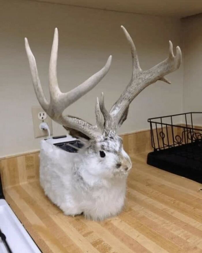 Terrible-Bad-Taxidermy-Fails