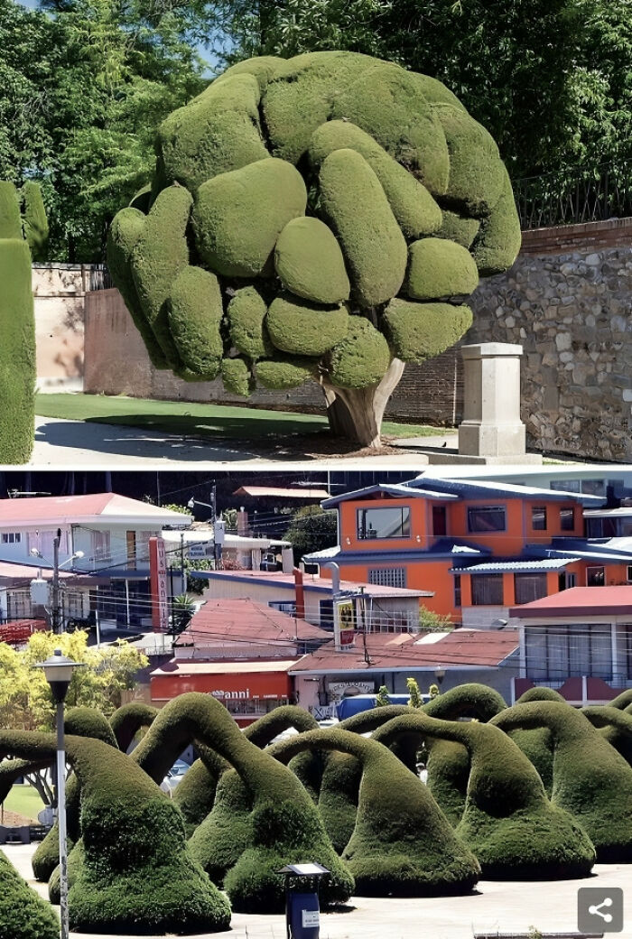 Topiary