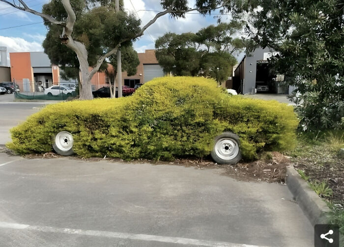 Get In Barbie, We’re Going Weeding