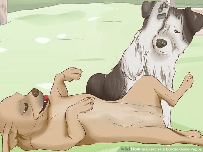 Here Are 30 Wikihow Posts Out Of Context