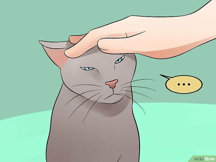 Here Are 30 Wikihow Posts Out Of Context