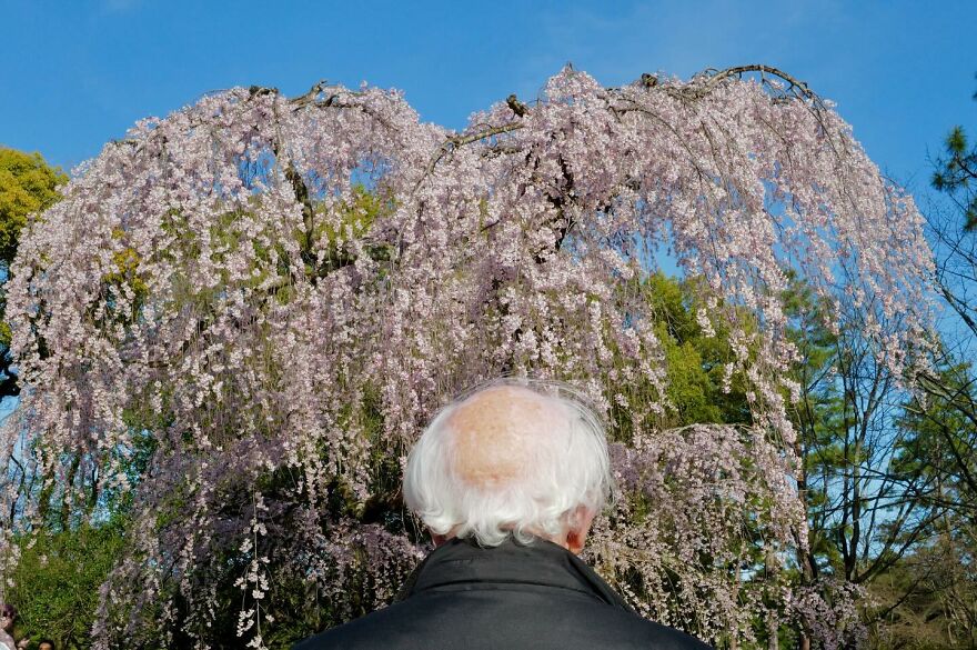 Lucky Coincidences: 26 Perfectly Timed Pictures Taken By Edas Wong (New Pics)