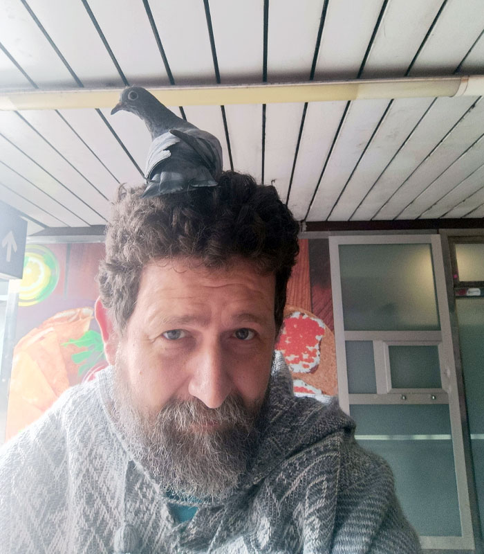 A Random Pigeon Sat On My Head