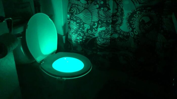 Never Miss The Bowl Again With This Motion Sensor LED Toilet Night Light