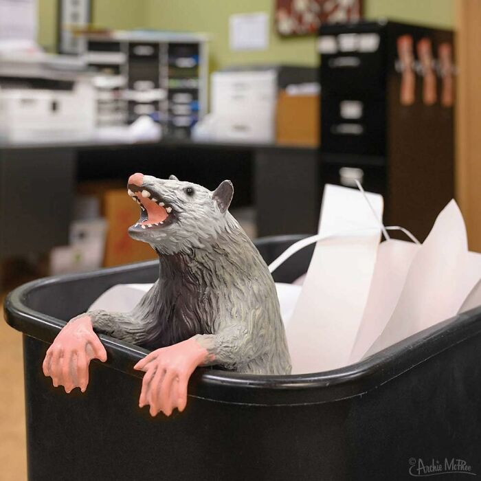 Bring Some Laughs Back To The Workplace With This Wild Office Possum