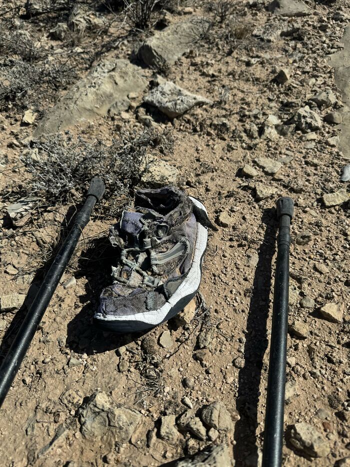 He encontrado este zapato femenino mordisqueado en medio del desierto