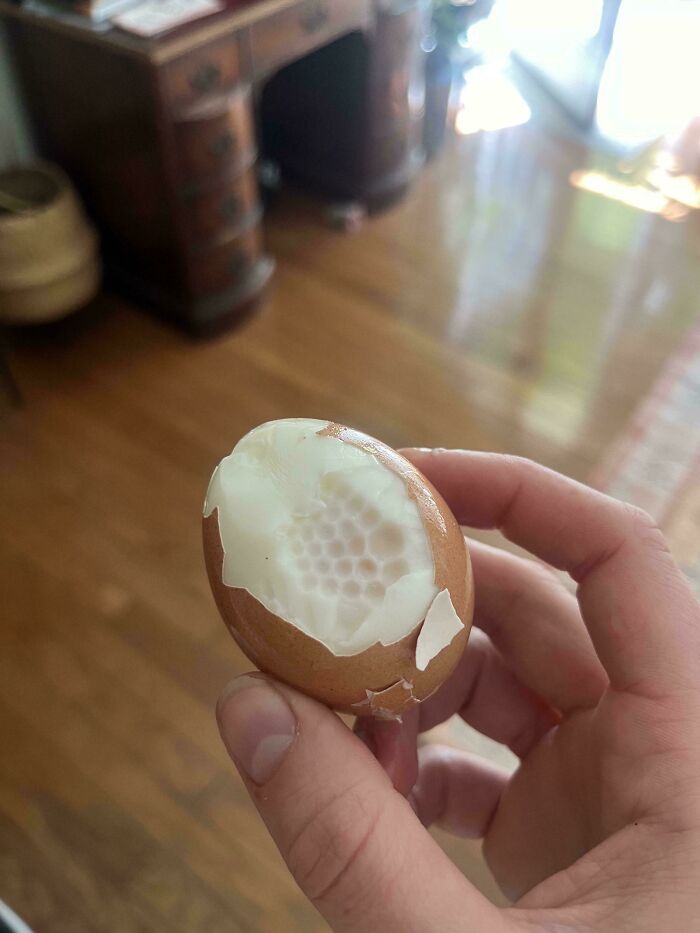 ¿Qué le pasa a este huevo?