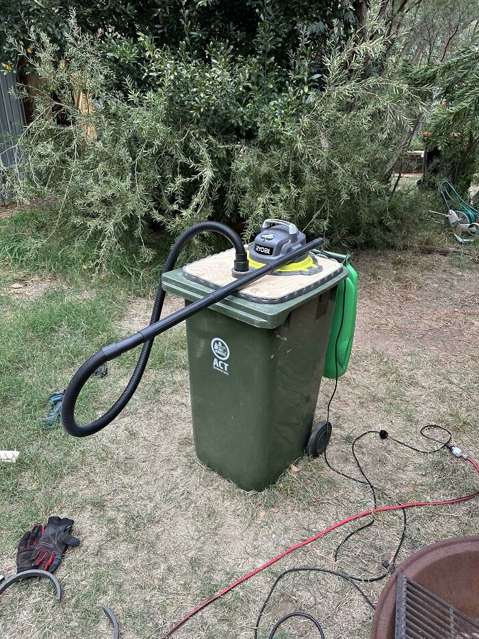 Loads Of Tree Business On The Ground This Time Of Year