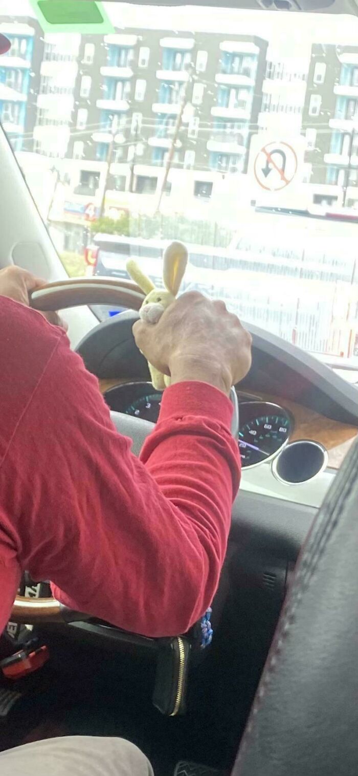 My Lyft Driver Holds A Stuffed Bunny While Driving