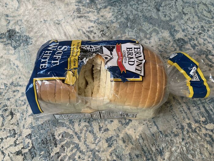 My Cat Got Hungry And Ate The Bread I Bought This Morning