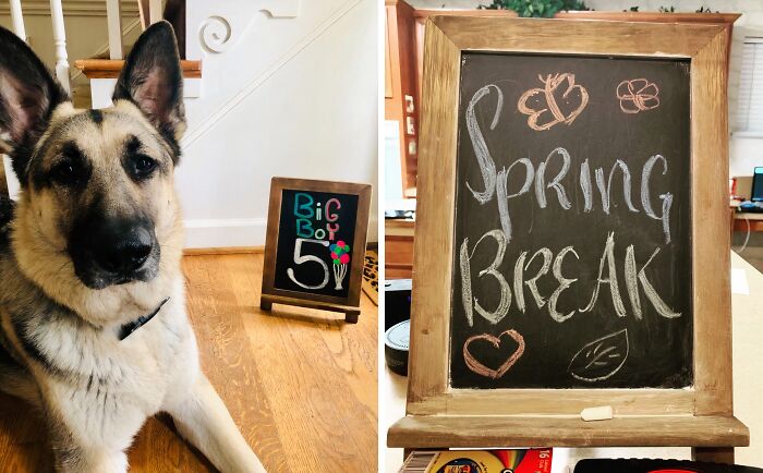  A Tabletop Chalk Board Is The Perfect Guestbook For Your Next Party