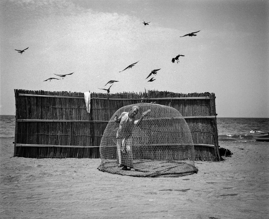 Captivity Versus Freedom © Lieven Neirinck