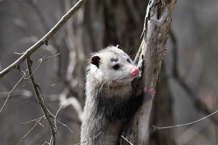 Met This Cute Guy On My Hike Today