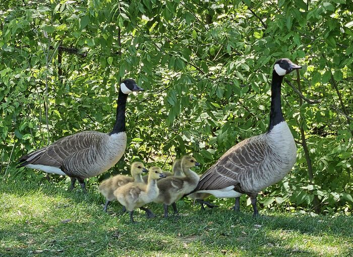 I Met This Lovely Family During My Lunch Break Today