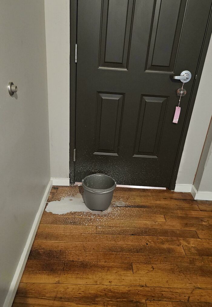 My Upstairs Neighbor Dropped A Quart Of Milk And It's Dripping Into My Apartment