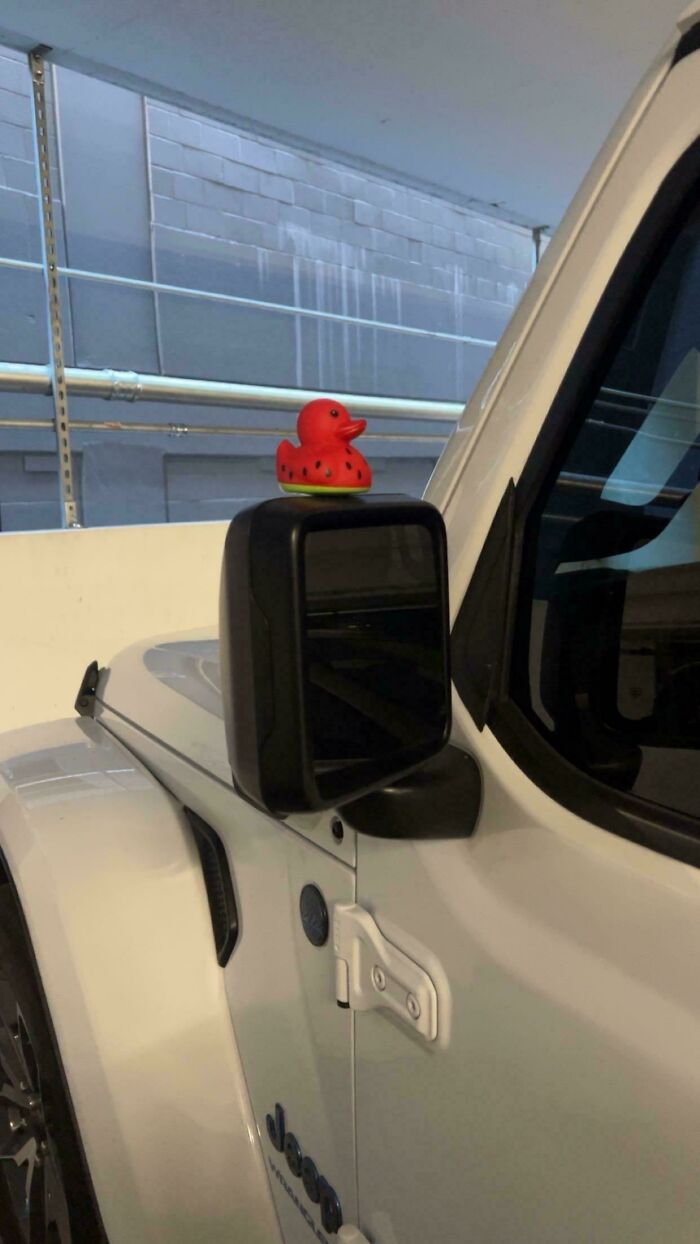 Someone Left A Ducky On My Car