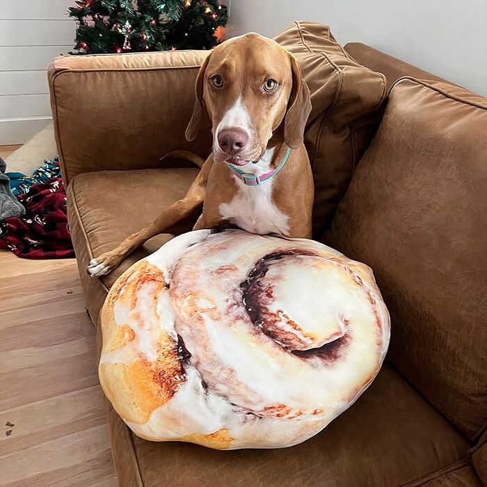 You Will Want To Roll Onto Your Couch Every Day With This Sweet Cinnamon Bun Throw Pillow Around