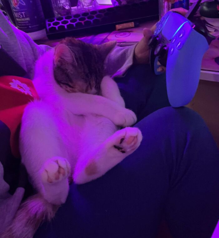 She Only Likes Cuddles When I’m Playing Games