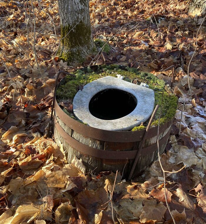 This Abandoned Outhouse In The North Woods Of Minnesota