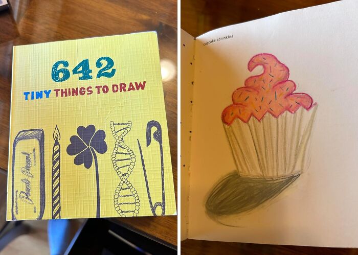 You Don't Have To Be Picasso To Enjoy This Book Of 642 Tiny Things To Draw