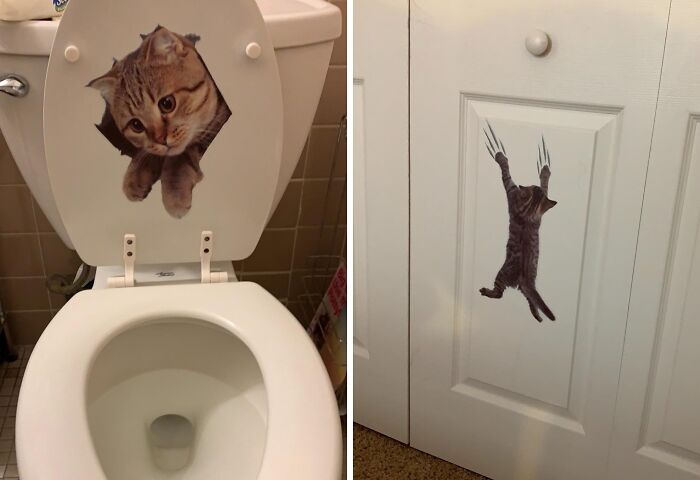 Get Some Claw-ver 3D Removable Cat Stickers If You Can't Get Enough Of Funny Felines