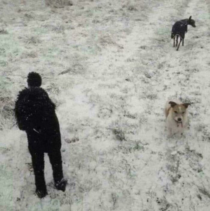 Just A Man And His 2 Dogs Nothing Else :)